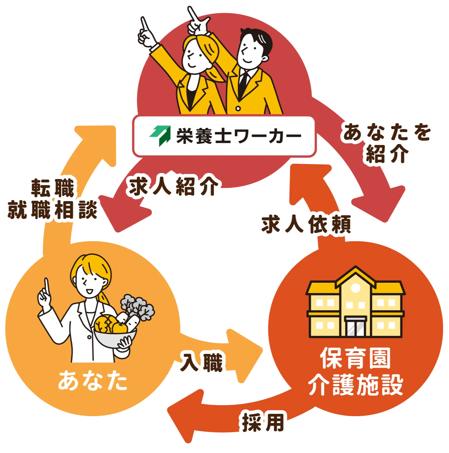 栄養士ワーカーは、採用活動を行う事業者と求職者の間に立ち、両者のマッチングをサポートします。